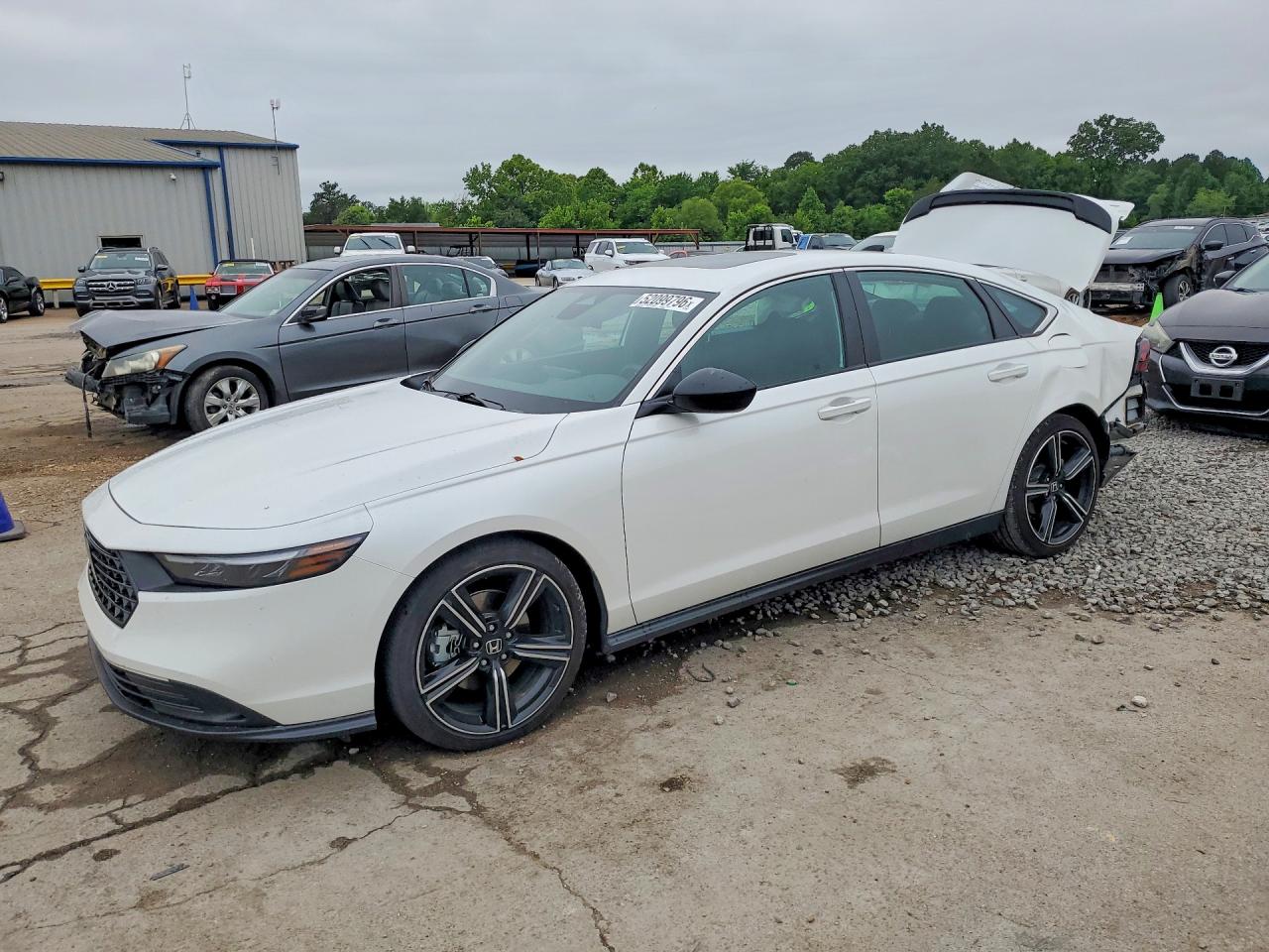 Salvage Honda Accord Image