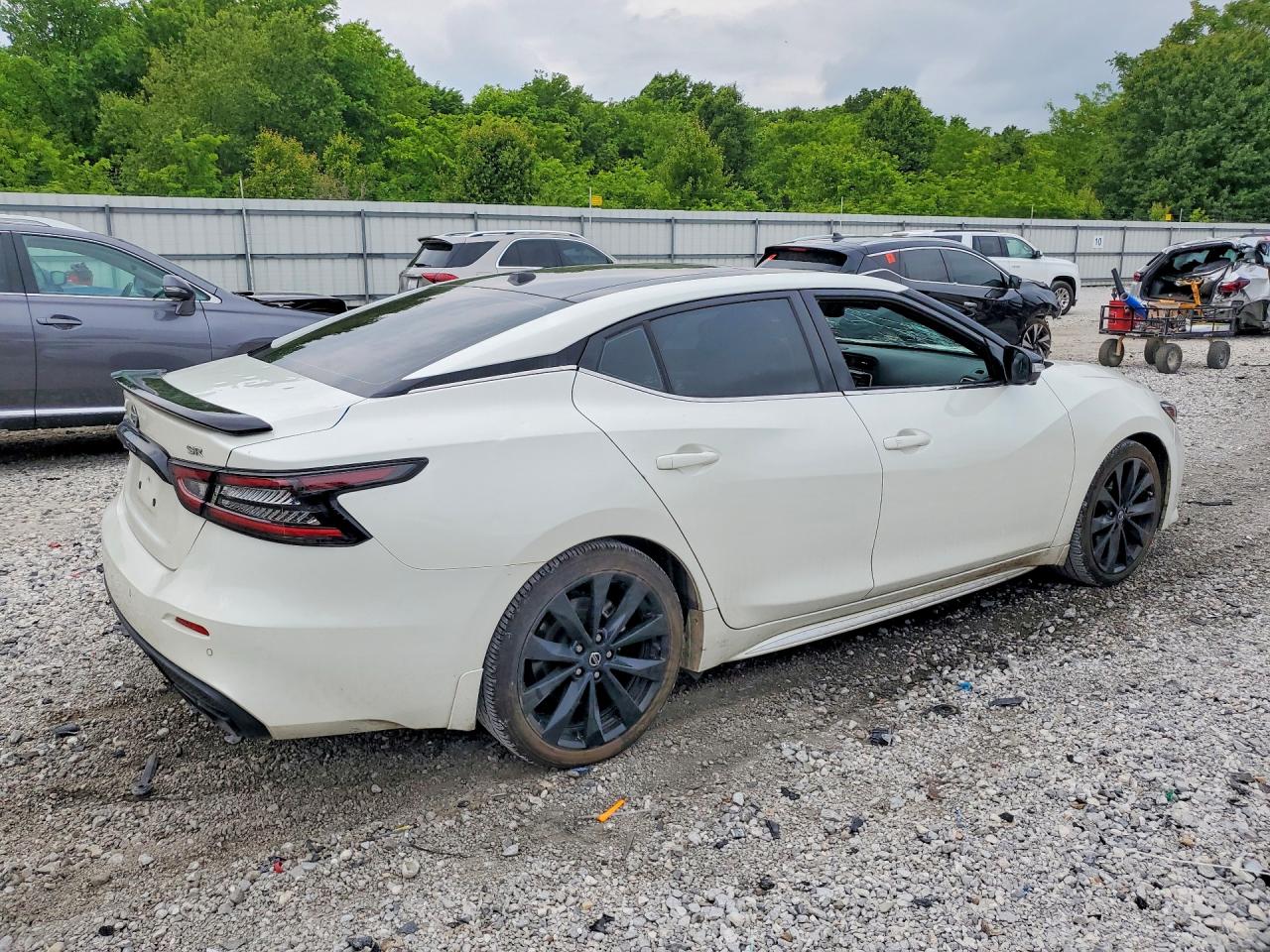 Nissan Maxima Sr