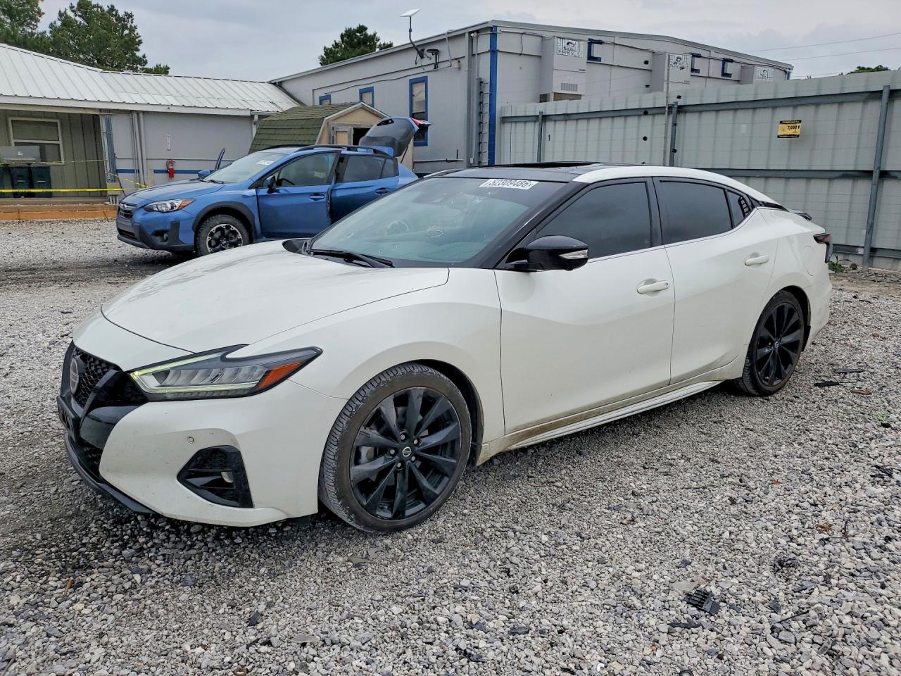 Salvage Nissan Maxima Image