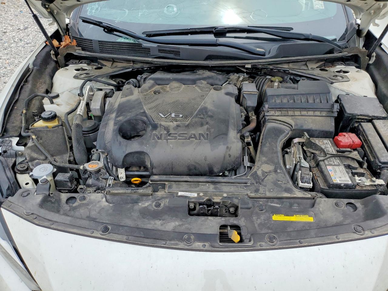 Nissan Maxima Sr