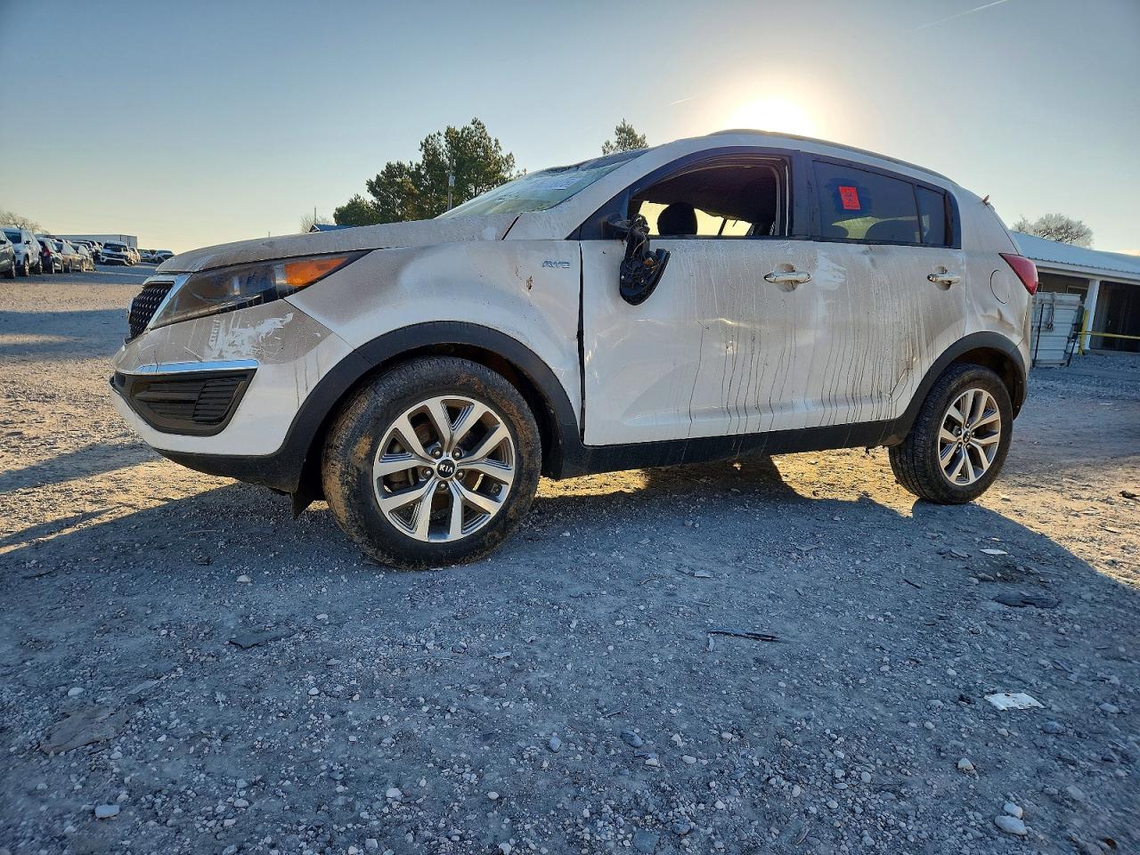Salvage Kia Sportage Image