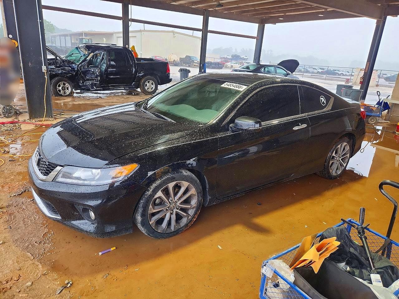 Salvage Honda Accord Image