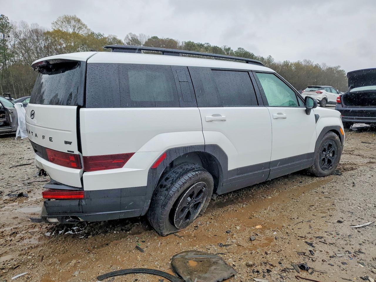 Hyundai SANTA FE Xrt