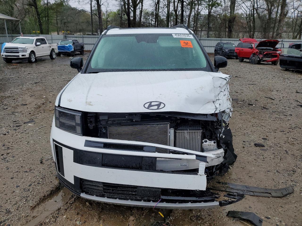 Hyundai SANTA FE Xrt