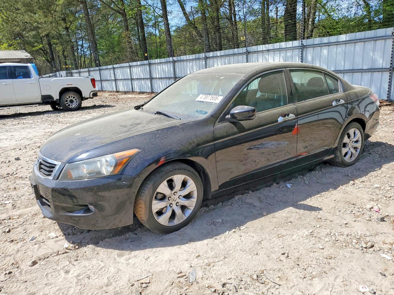 Salvage Honda Accord Image