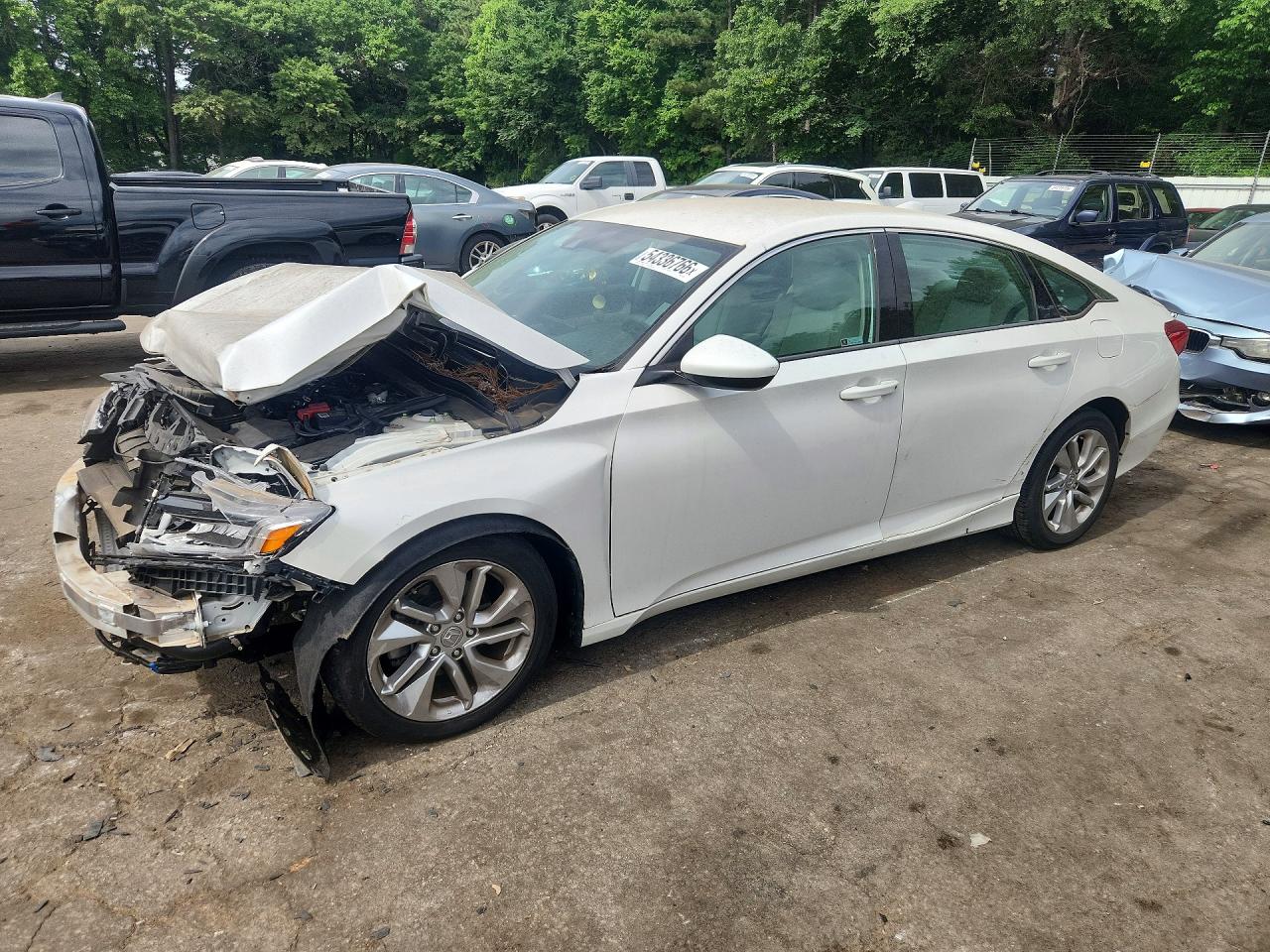 Salvage Honda Accord Image