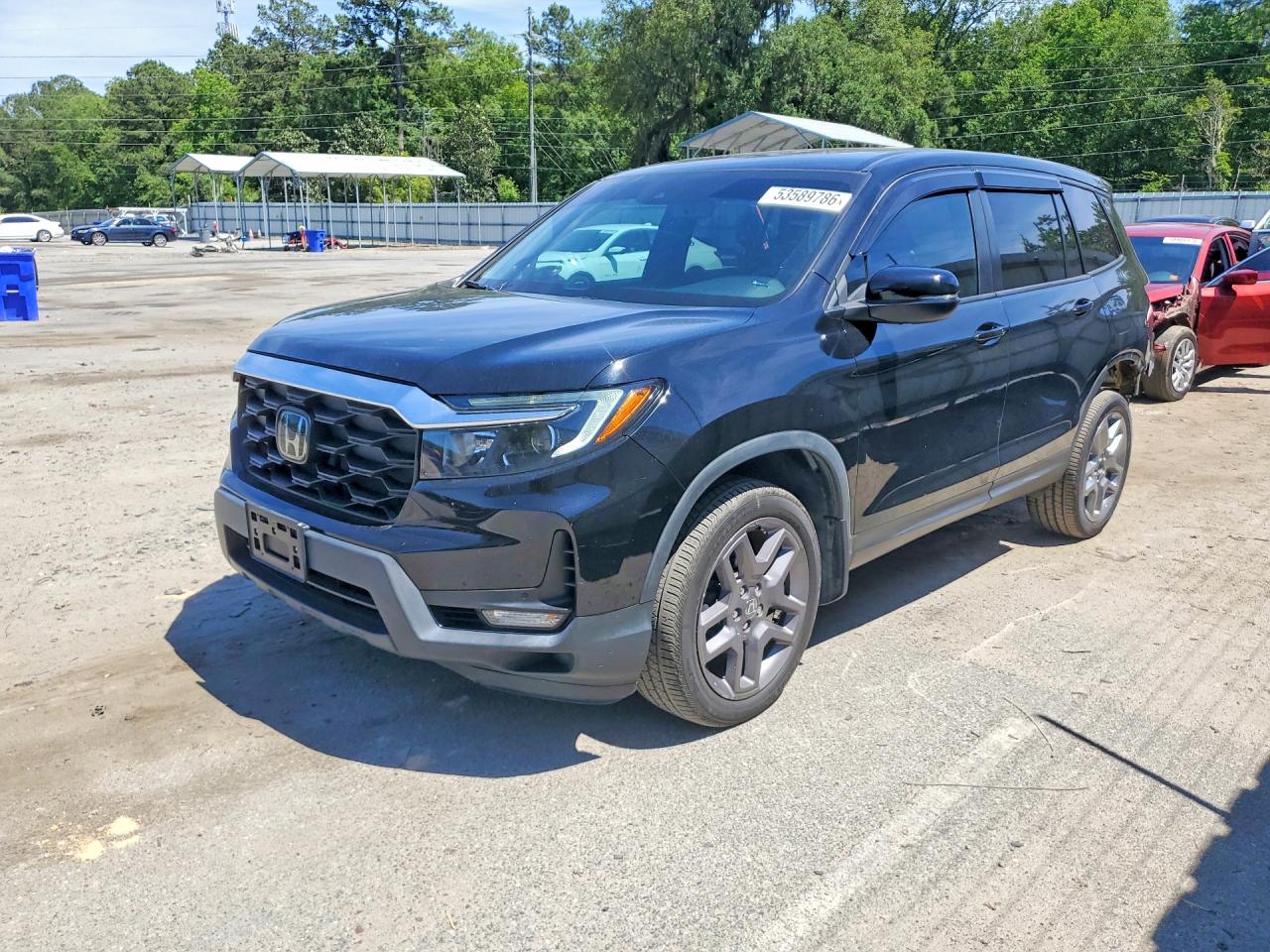 Salvage Honda Passport Image