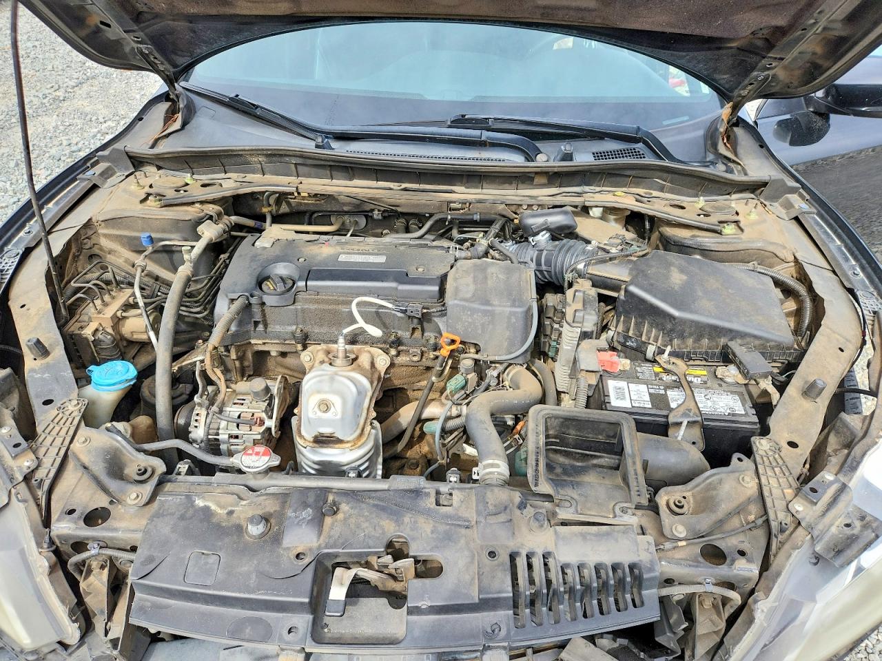 Honda Accord Sport