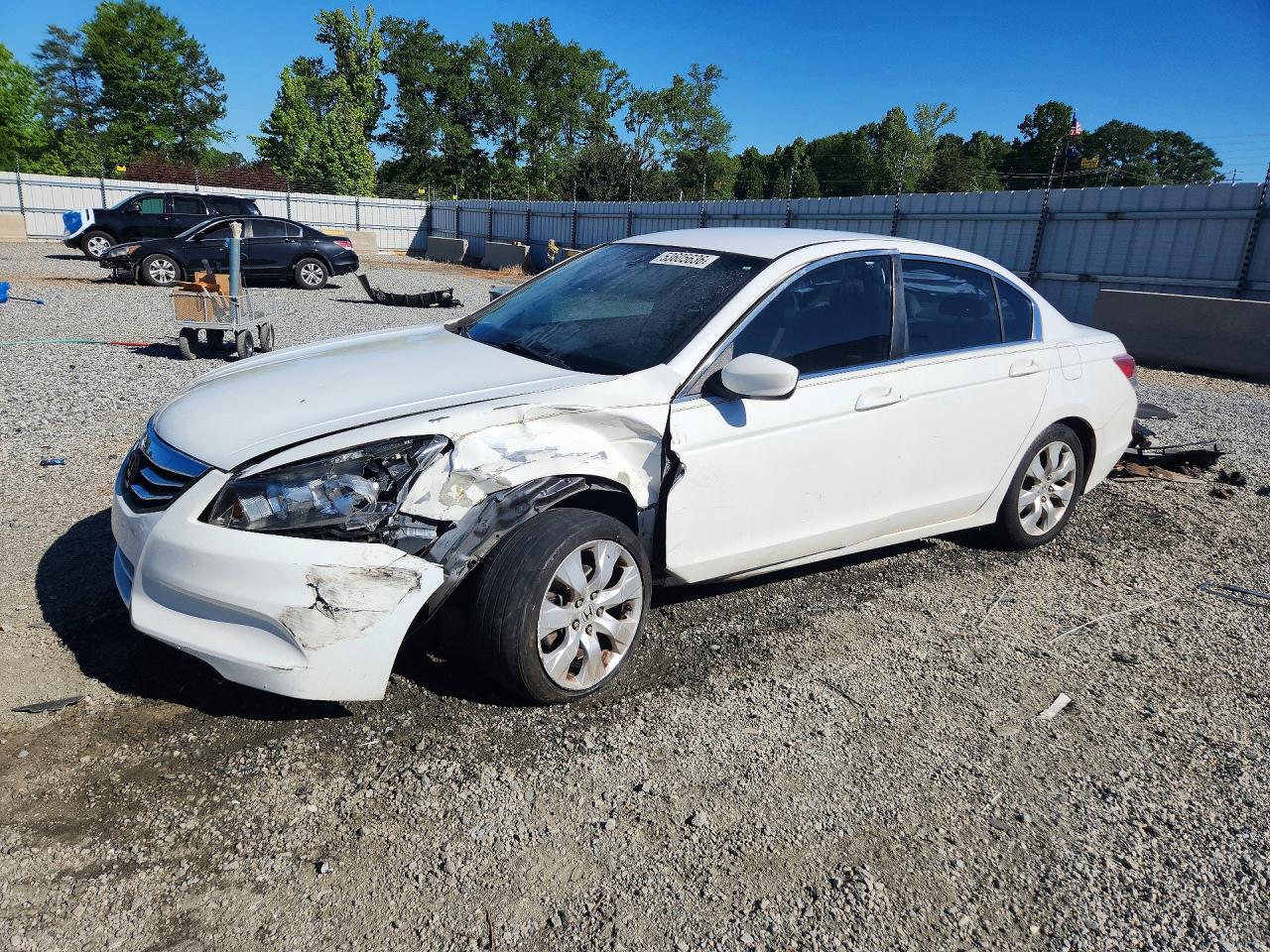 Salvage Honda Accord Image