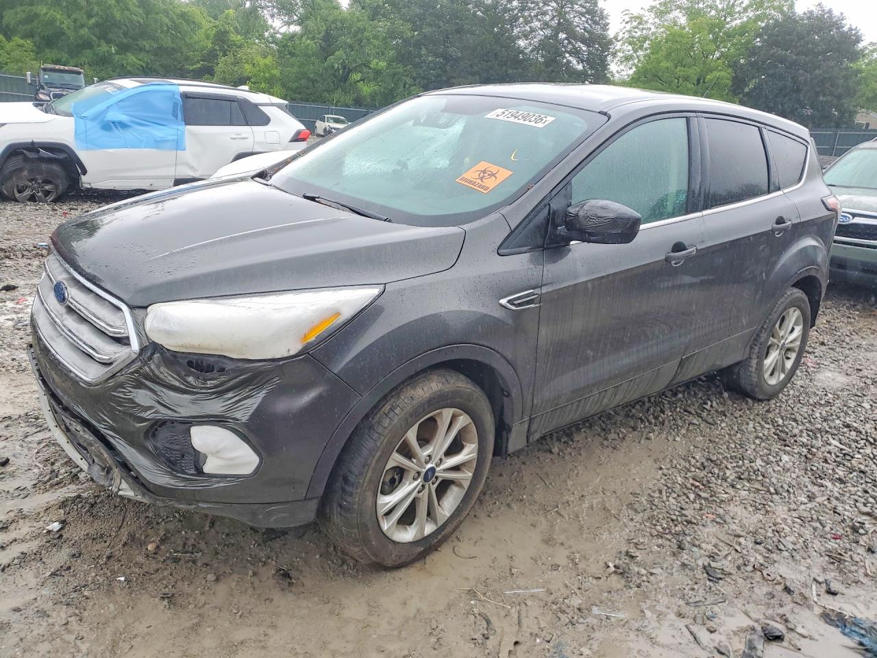 Salvage Ford Escape Image