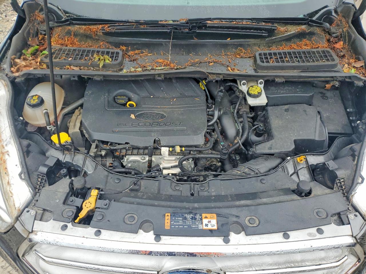 Ford Escape Se