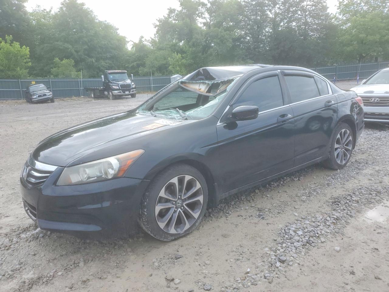 Salvage Honda Accord Image