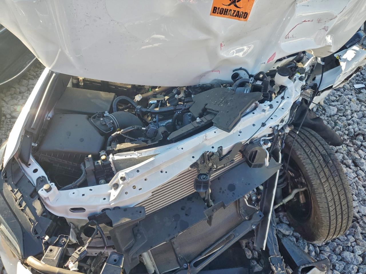 Toyota Tacoma Xtracab