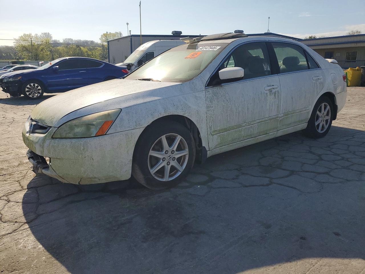 Salvage Honda Accord Image