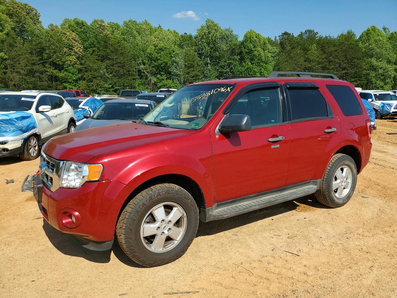 Salvage Ford Escape Image