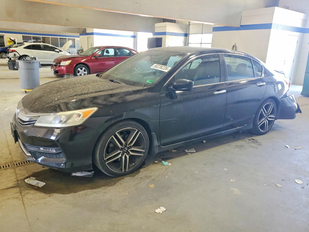 Salvage Honda Accord Image