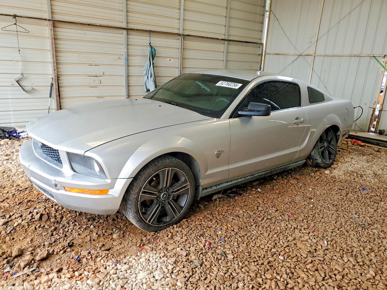 Salvage Ford Mustang Image