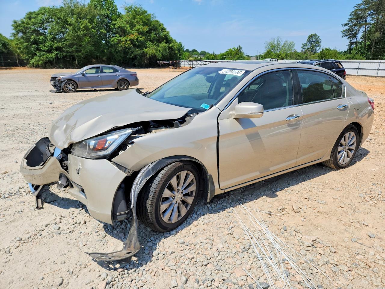 Salvage Honda Accord Image