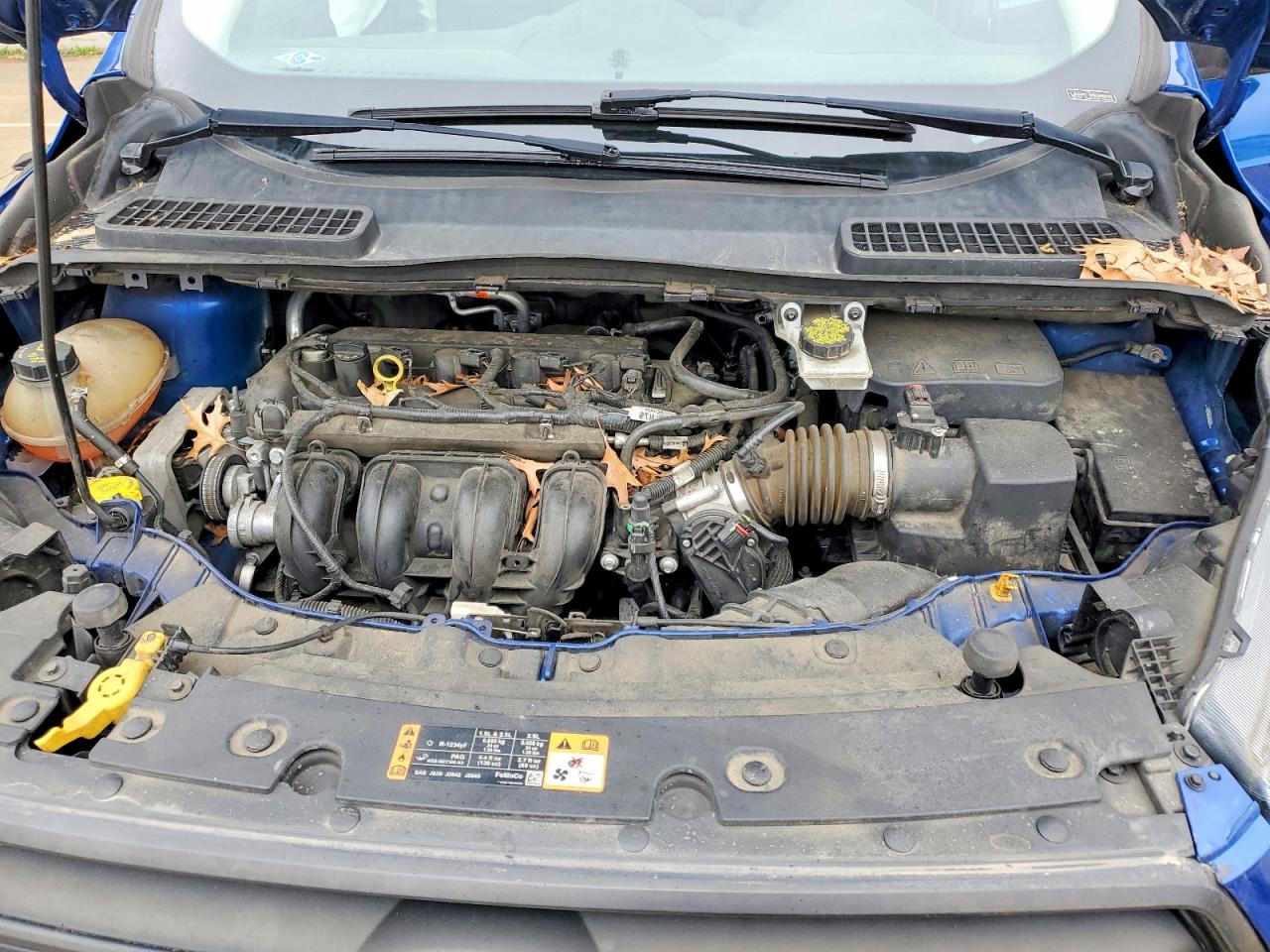 Ford Escape S