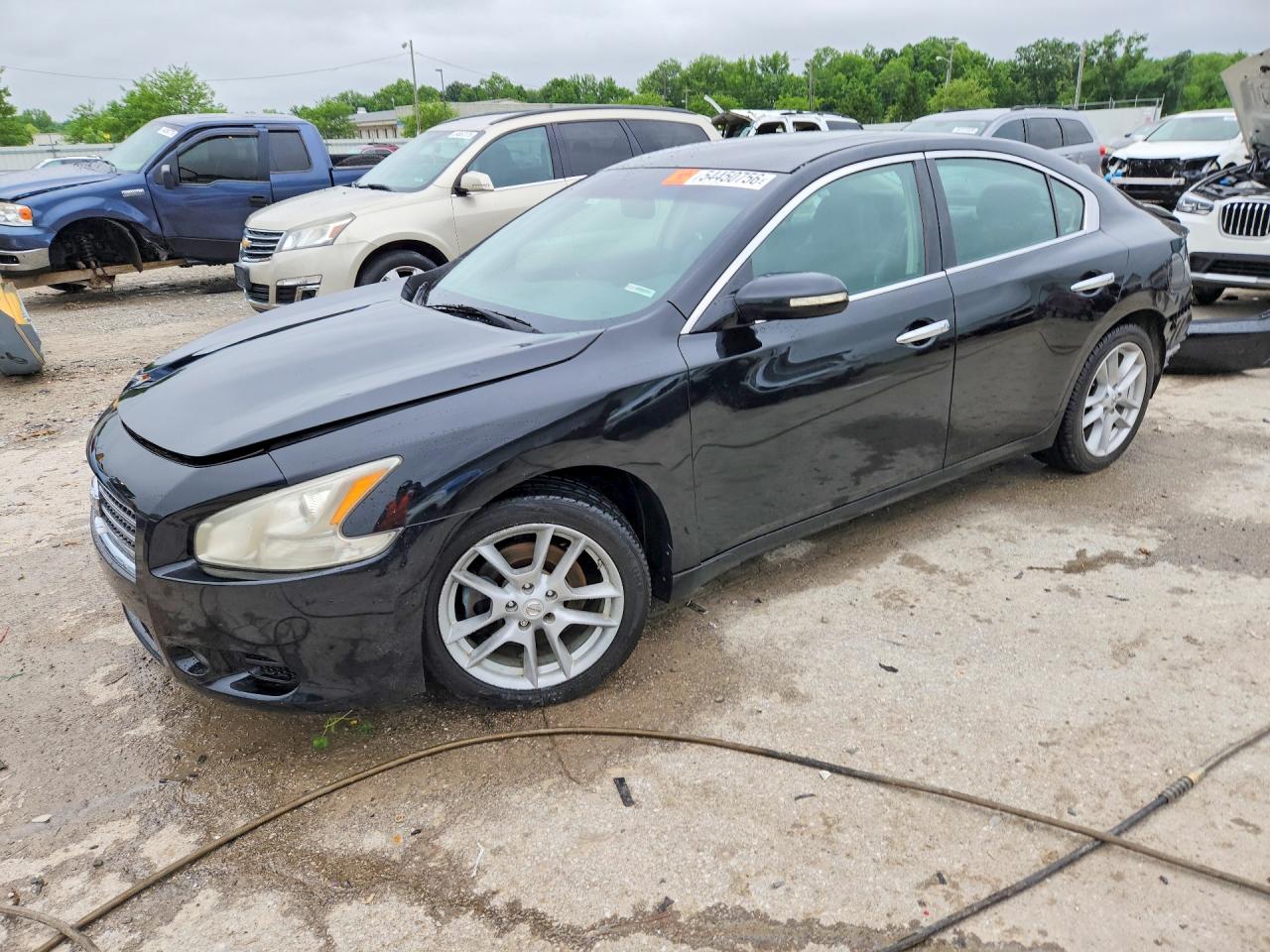 Salvage Nissan Maxima Image