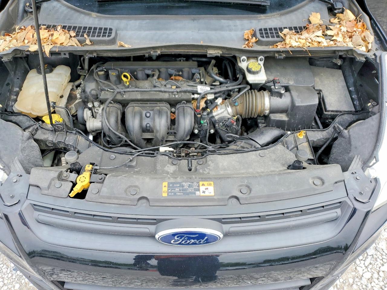 Ford Escape S