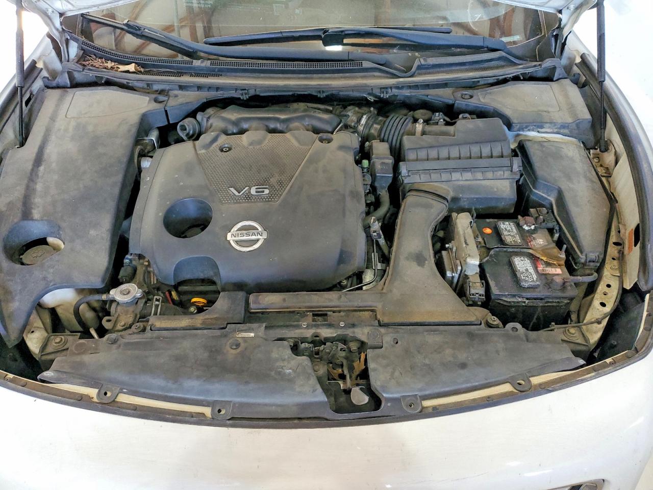 Nissan Maxima 3.5 S