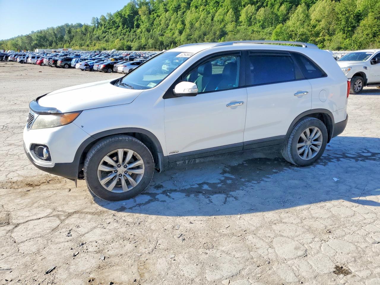 Salvage Kia Sorento Image
