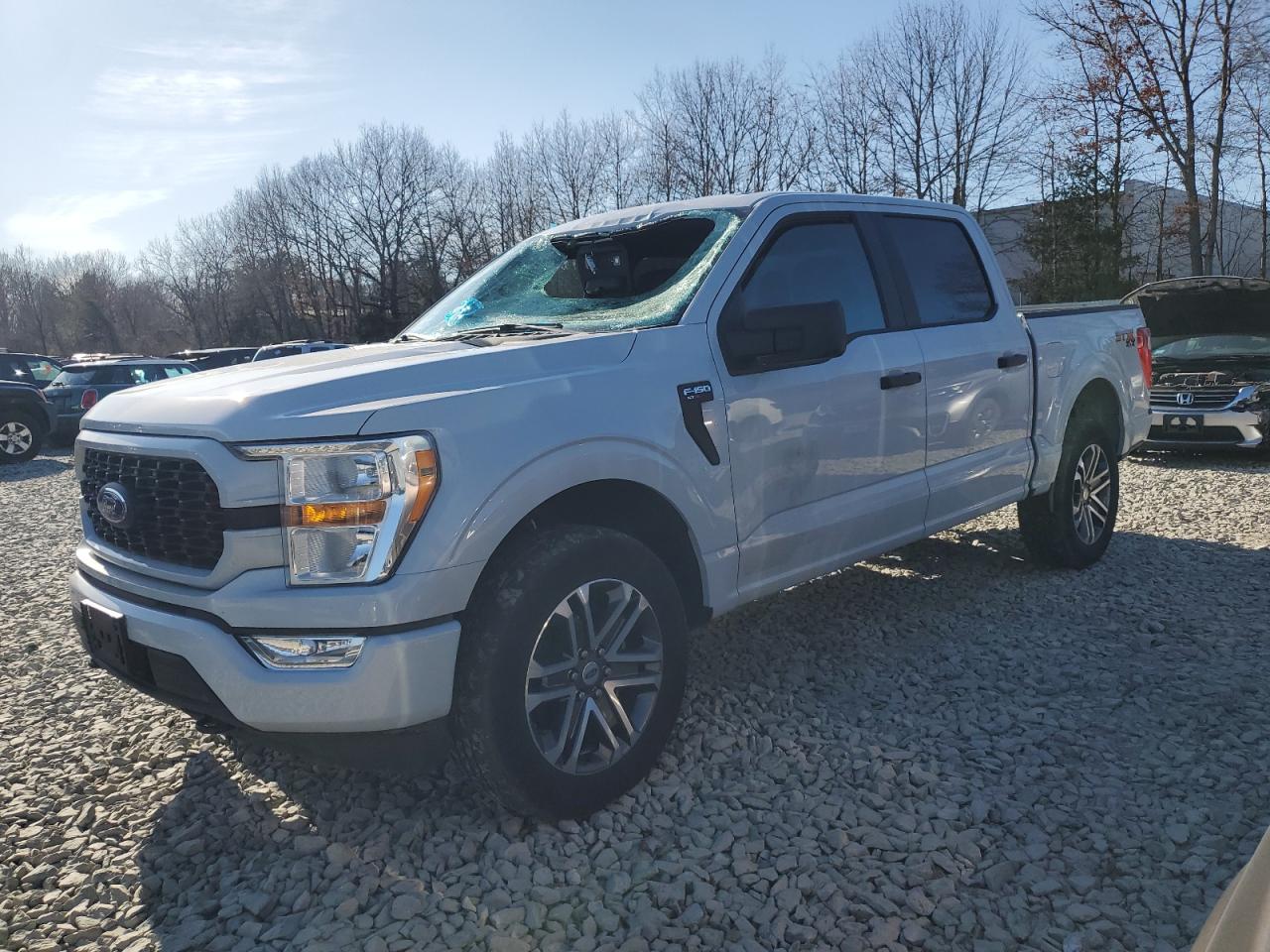 Salvage Ford F-150 Image