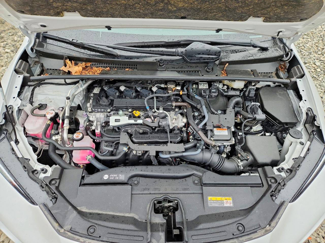 Toyota Prius Xle