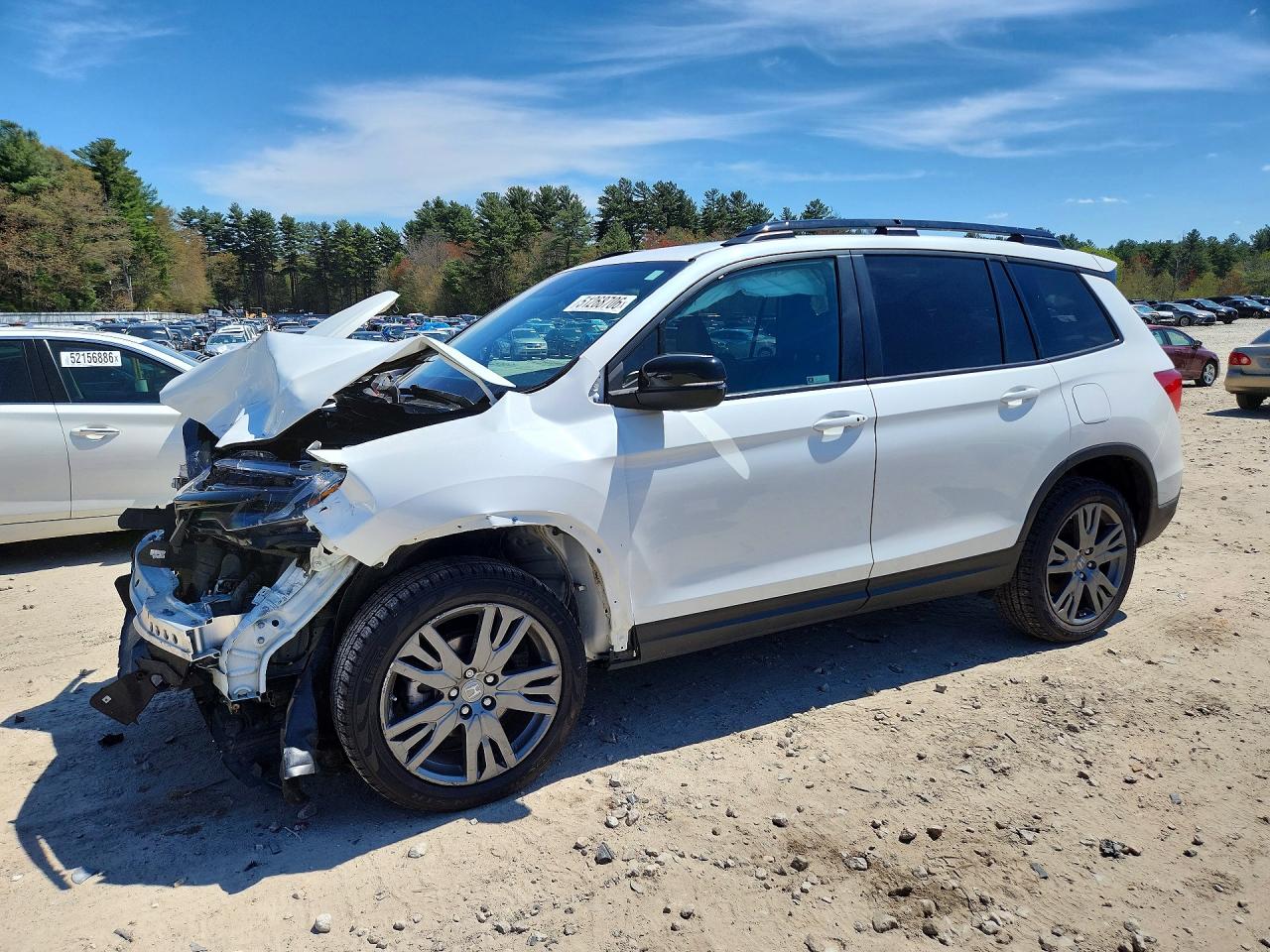 Salvage Honda Passport Image