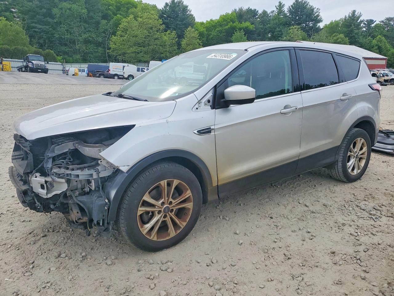Salvage Ford Escape Image
