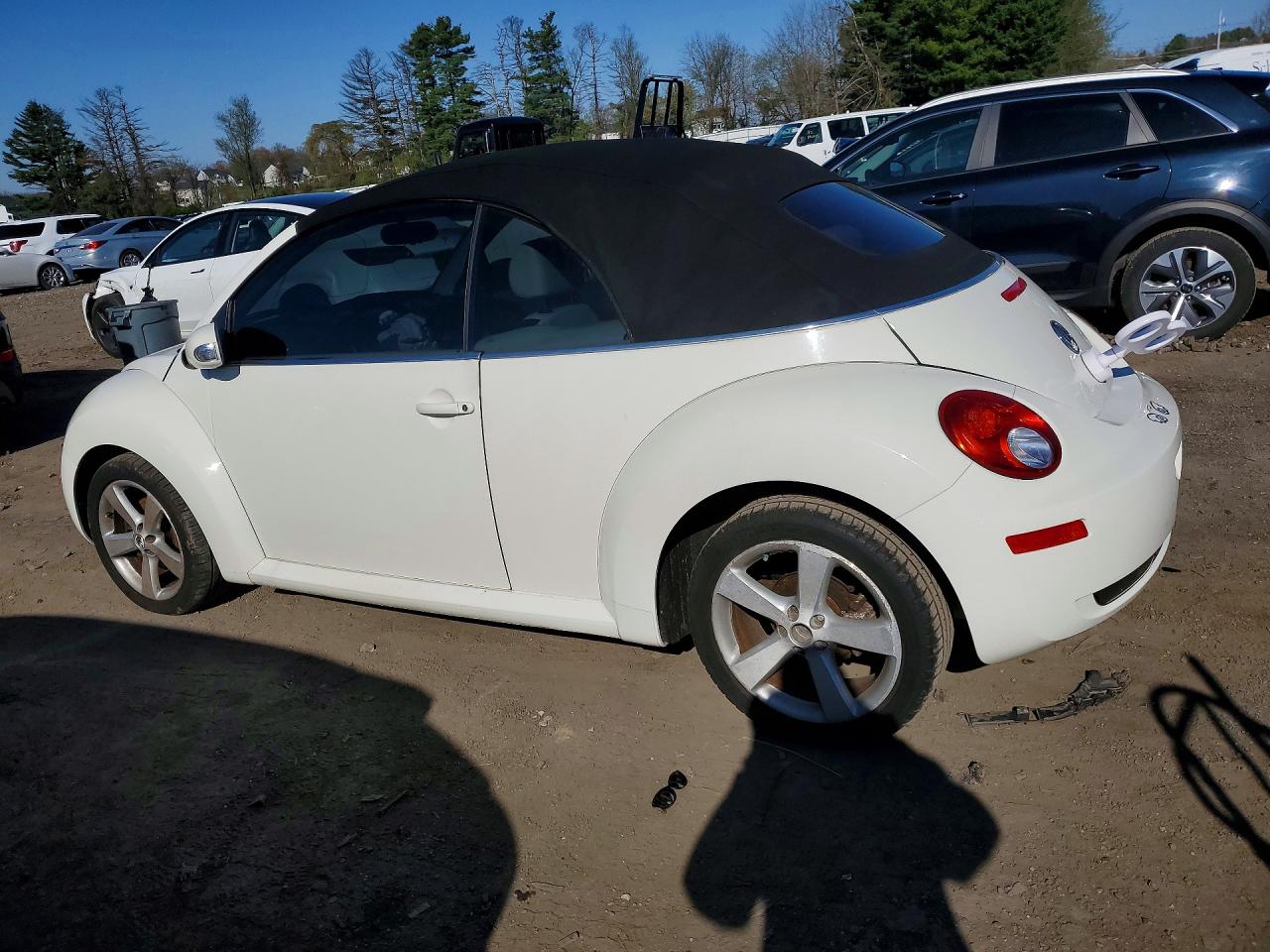 Volkswagen Beetle Triple White