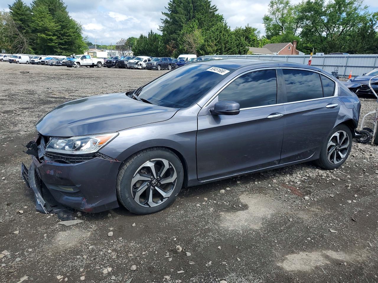 Salvage Honda Accord Image
