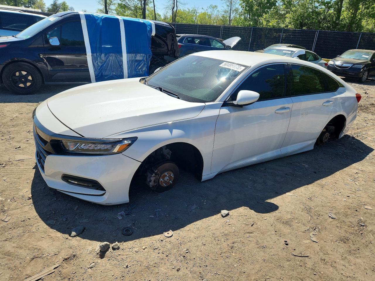 Salvage Honda Accord Image