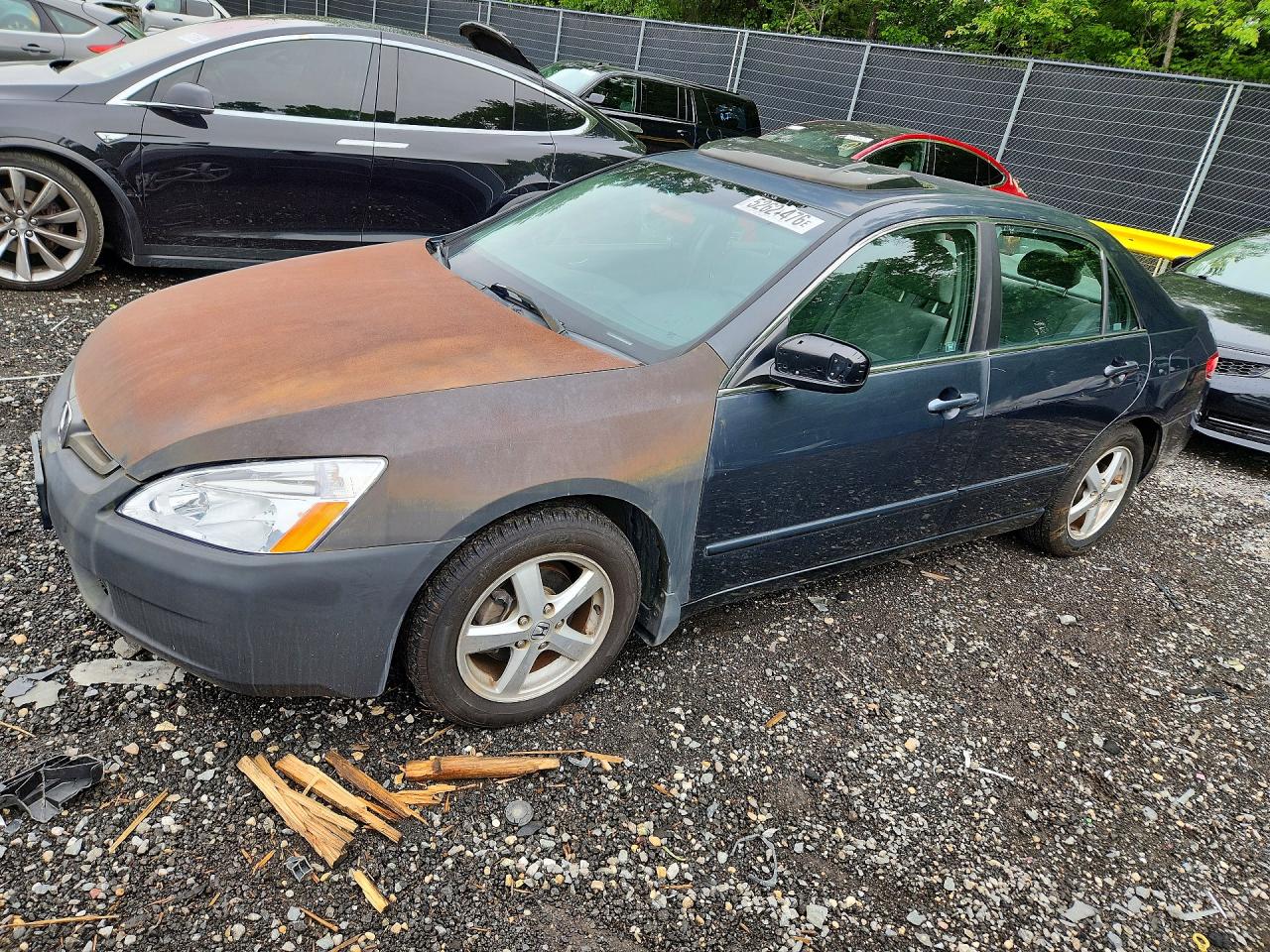 Salvage Honda Accord Image