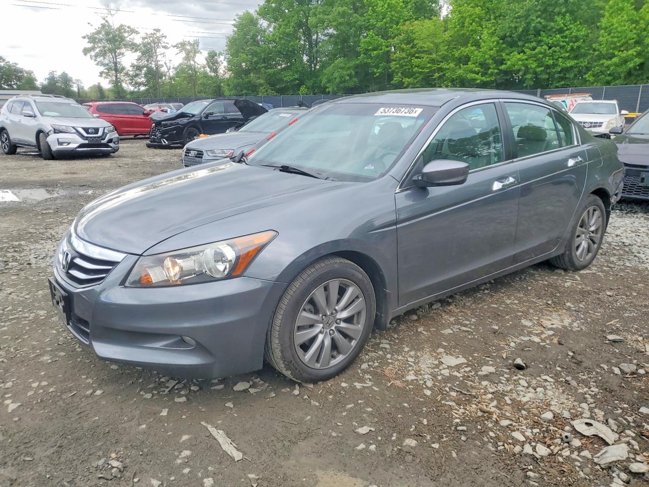 Salvage Honda Accord Image