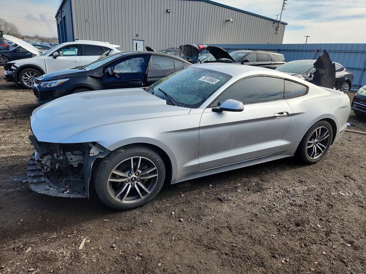 Salvage Ford Mustang Image