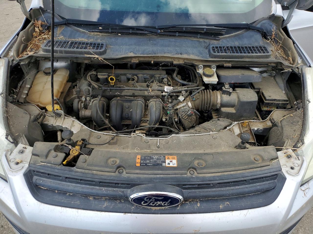 Ford Escape S