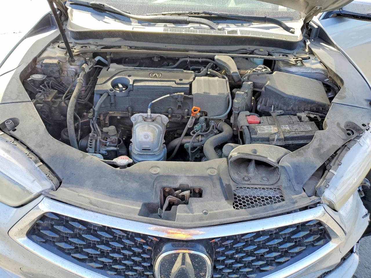 Acura TLX
