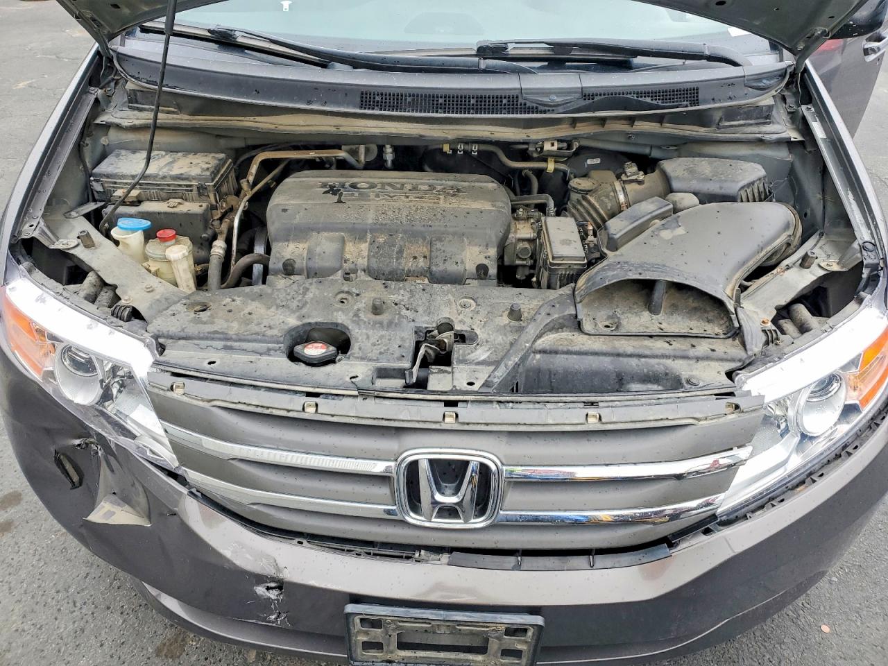 Honda Odyssey Exl