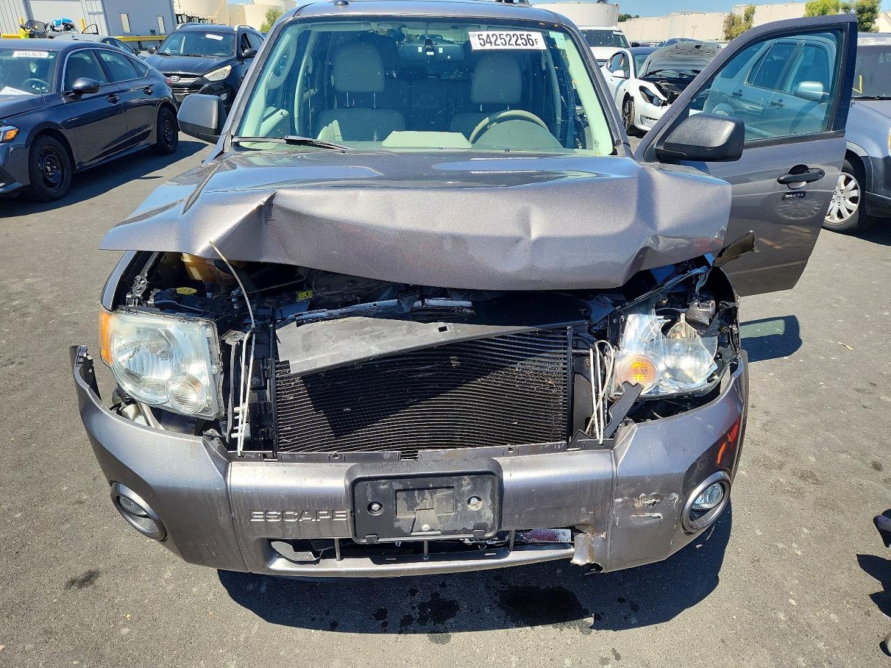 Ford Escape Xlt