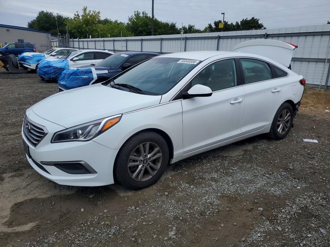 Salvage Hyundai SONATA Image