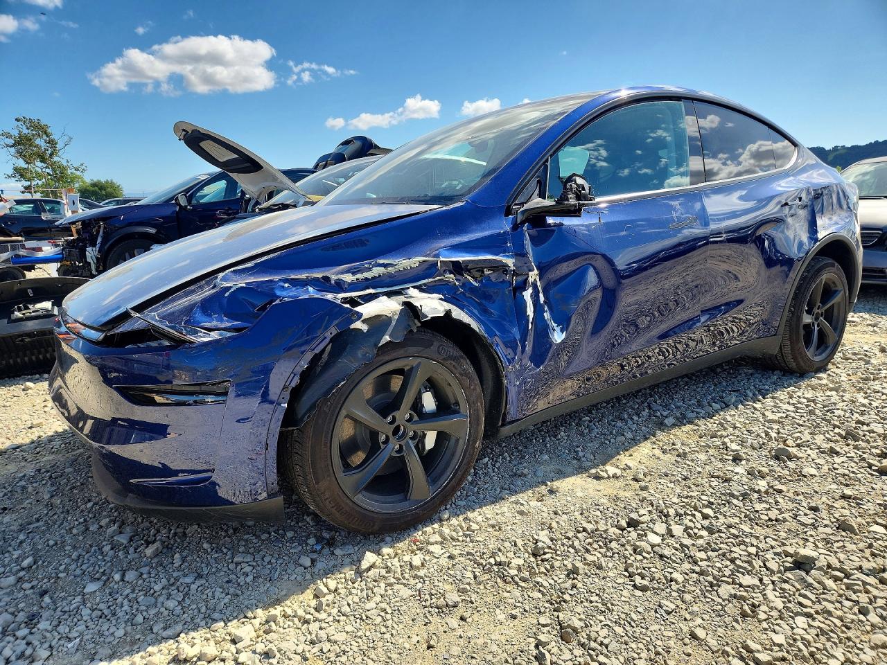 Salvage Tesla Model Y Image