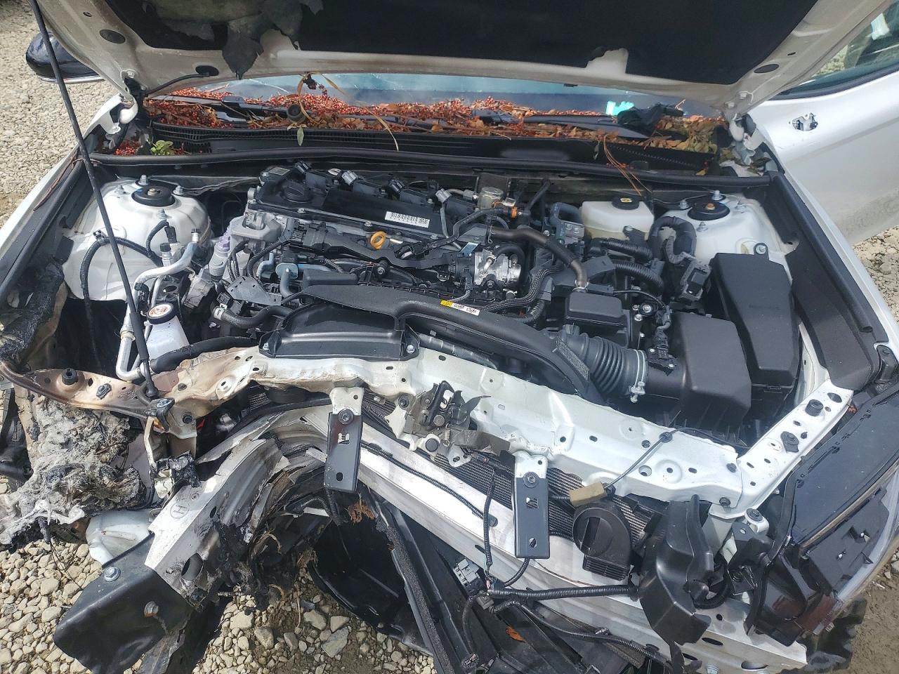 Toyota Camry Xse