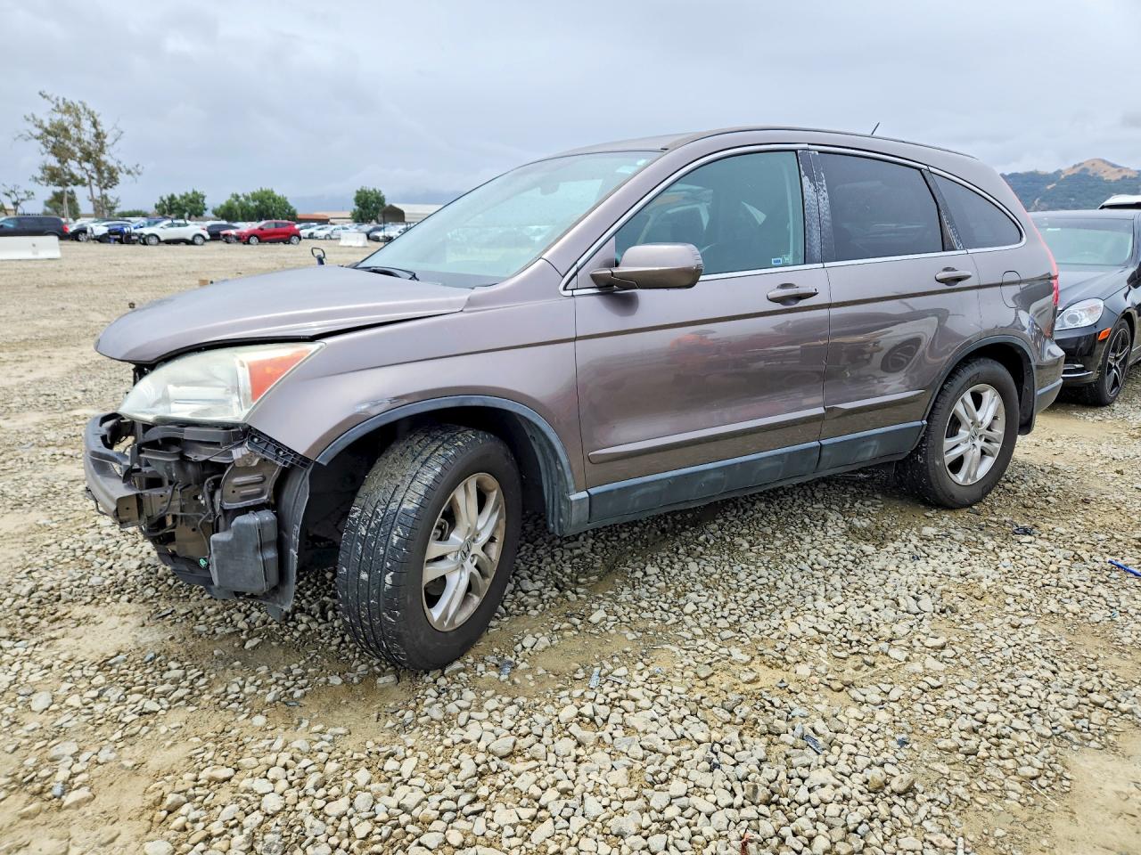 Salvage Honda Crv Image