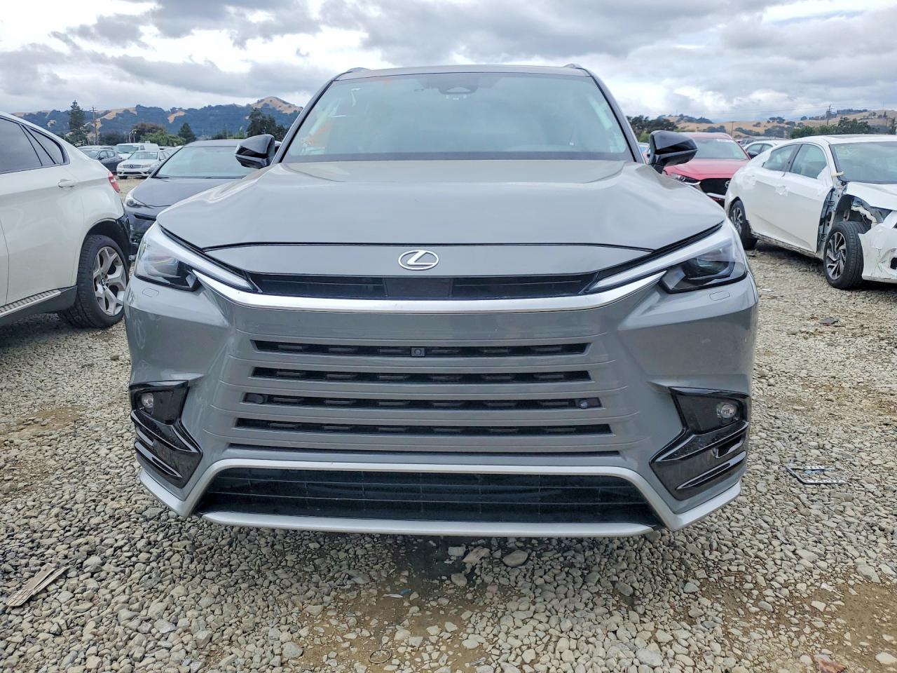 Lexus Other F Sport Performance Premium