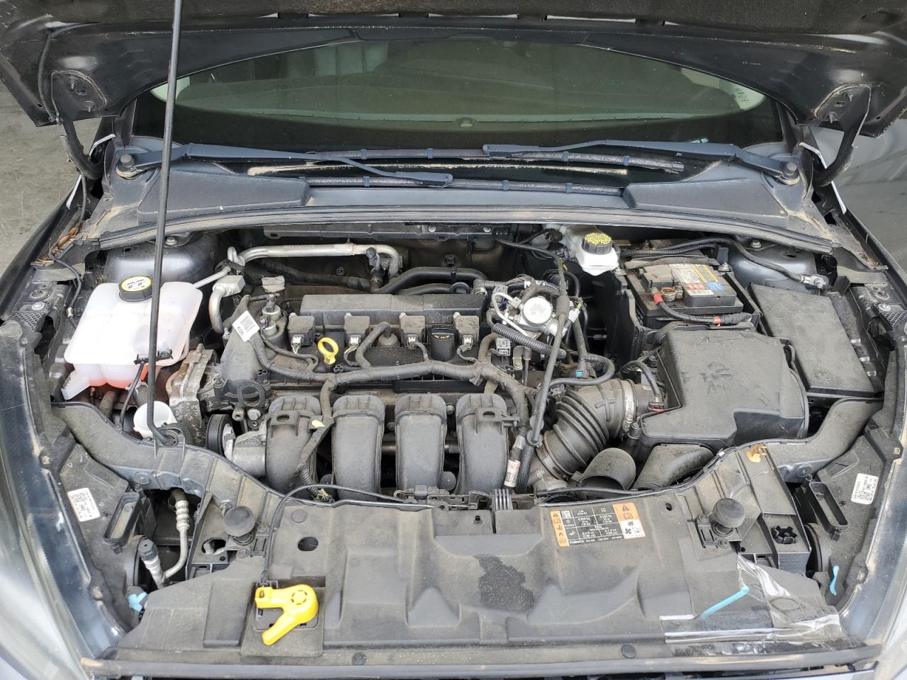 Ford Focus Sel