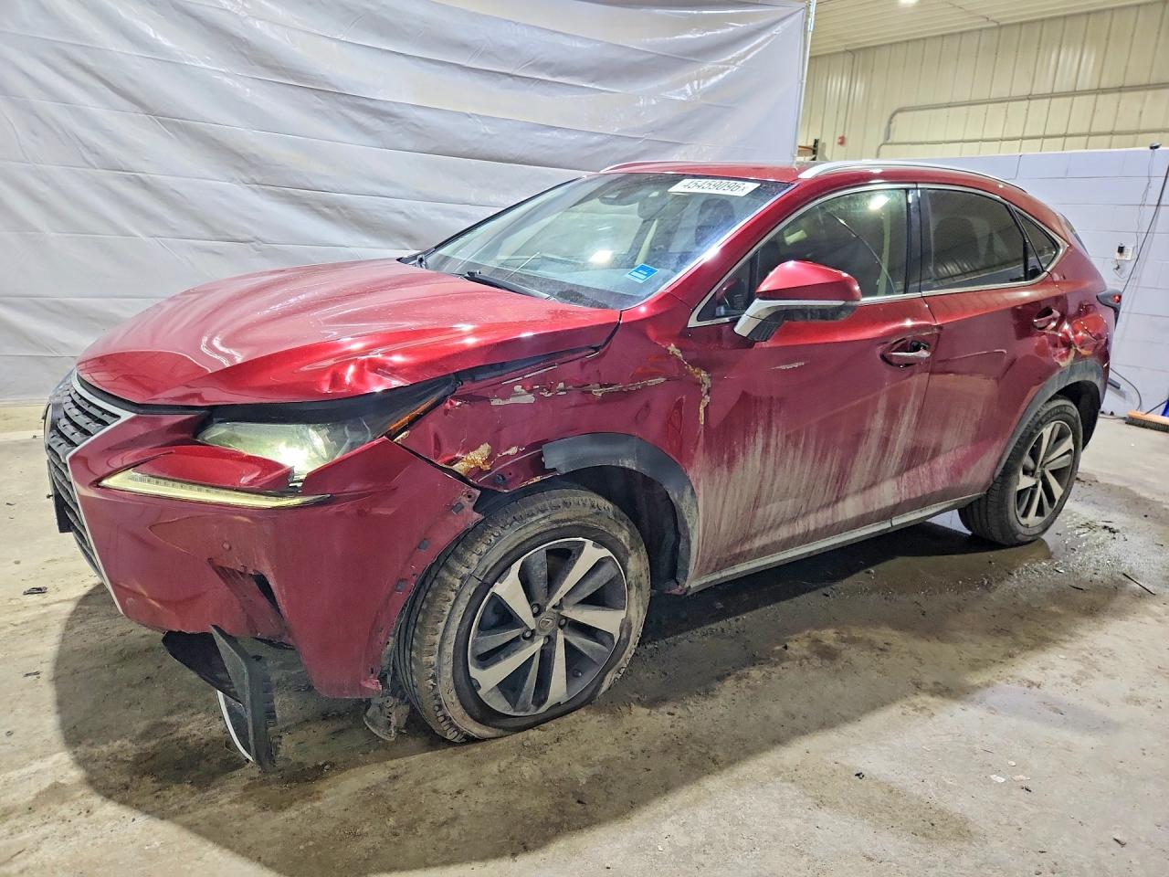 Salvage Lexus NX Image