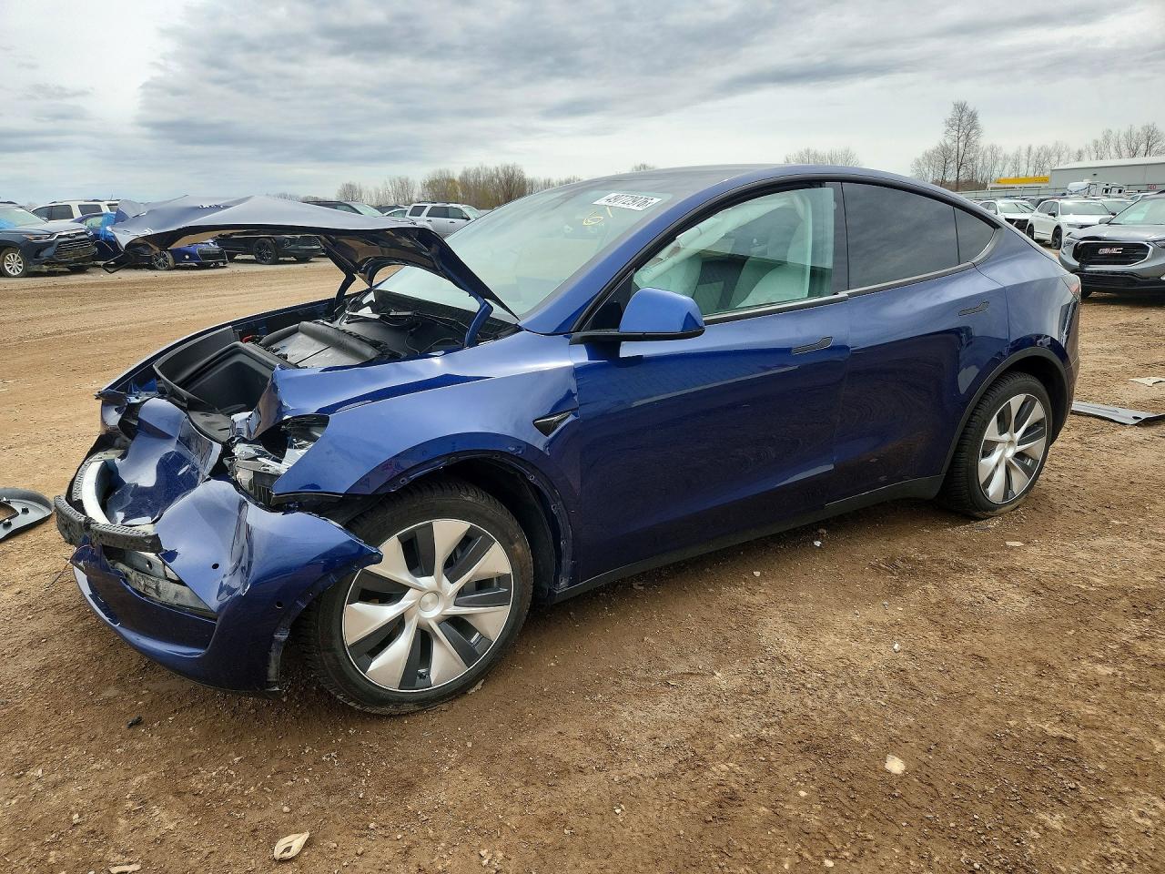 Salvage Tesla Model Y Image