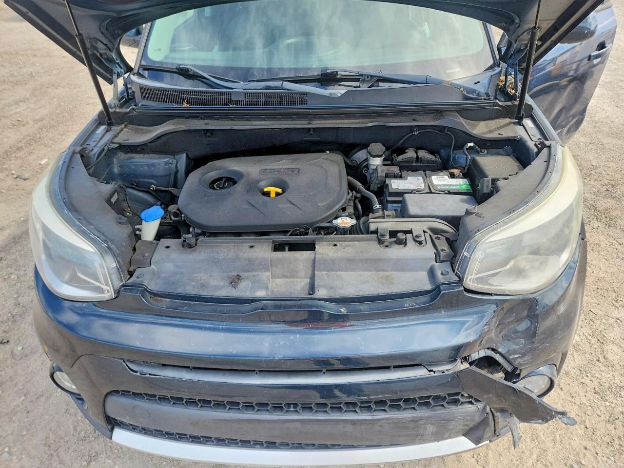 Kia Soul +